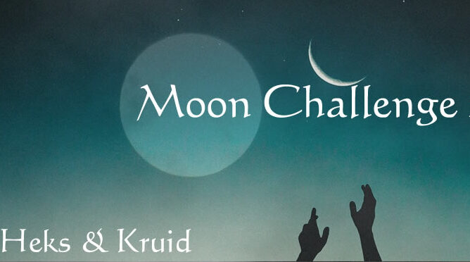 Moon Challenge 2026