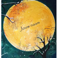 Volle Maan Lichtmoment + 2 x Persoonlijke Lichtkaart