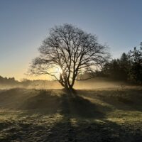 Elementenreis in de Natuur