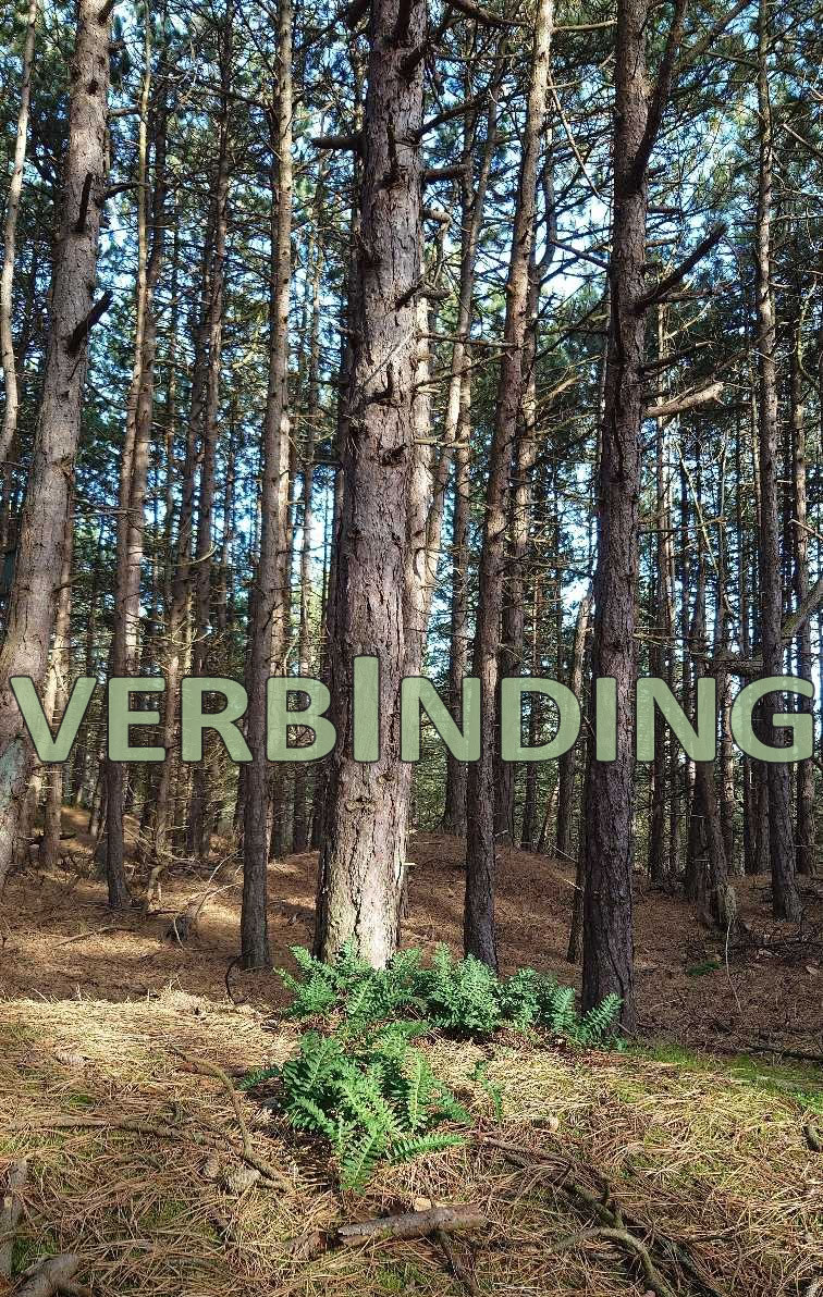 Verbinding meditatie